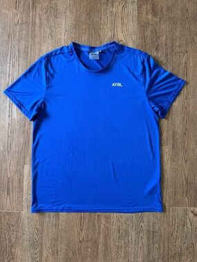 AYBL Men's Performance Tee in Royal Blue, Size Large